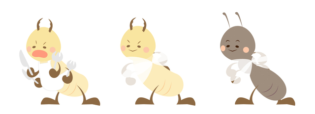 ���������к�