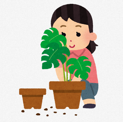 �����Ȱ¤餮��